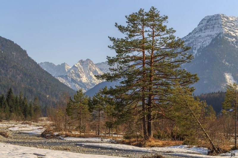 景观,爬坡道,岩,树木,森林,山