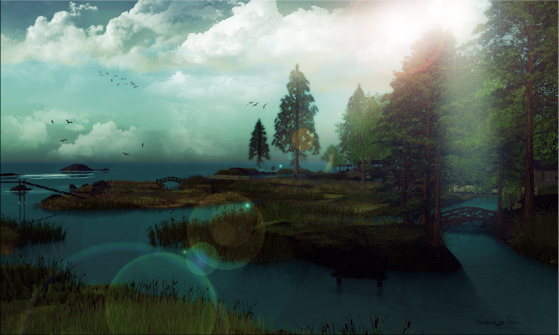 sunlight,sea,trees,landscape,water,nature