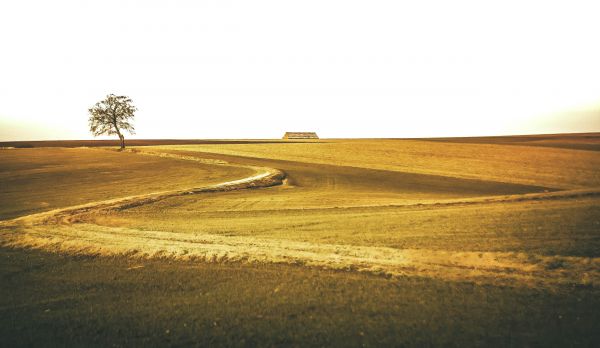landscape,hill,sky,field,road,morning