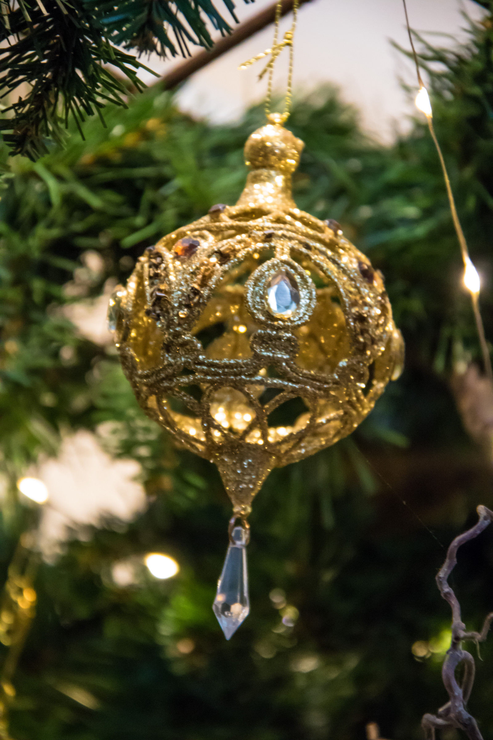 větev, Vánoční strom, Vánoce, ozdoby, strom, květ, Vánoce, osvětlení, vánoční strom, julgran, července, exif modelu canoneos760d, geocountry, Kamera aby kánon, geocity, Model fotoaparátu canoneos760d, geostate, geolocation, EXIF čočka efs18200mmf3556is, EXIF otvor 56, exif focallength 200mm, exif aby kánon, exif isospeed 6400, Vellinge, vellingeblomman, dekorationer, ornamnets, julgranspynt, výzdoba, vánoční dekorace