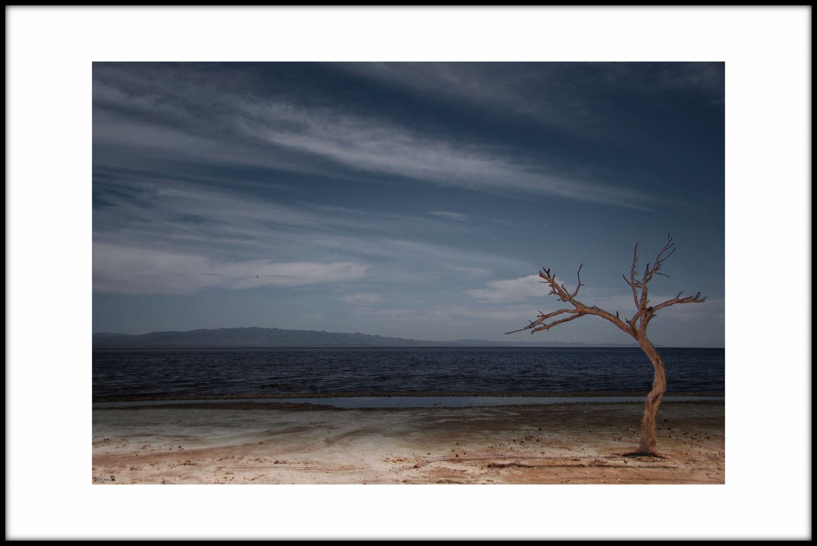 temný, moře, Příroda, pobřeží, nebe, pláž, pobřeží, vítr, horizont, osamělost, sůl, rozklad, mrak, strom, jeden, obraz, já, samota, představení, treesubject, moderní umění, pryč, Saltonské moře, deepcolor