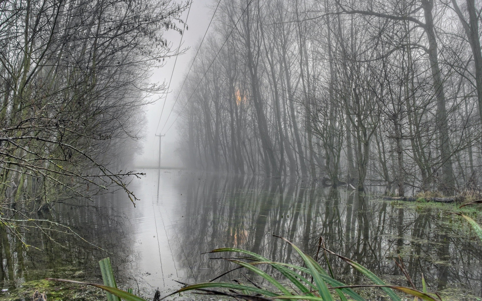 stromy, krajina, les, vodopád, voda, Příroda, rostliny, mlha, divočina, proud, bažina, mokřadní, strom, mlha, počasí, zálesí, místo výskytu, přírodní prostředí, atmosférický jev, ekosystém, tělo z vody, vodní prvek
