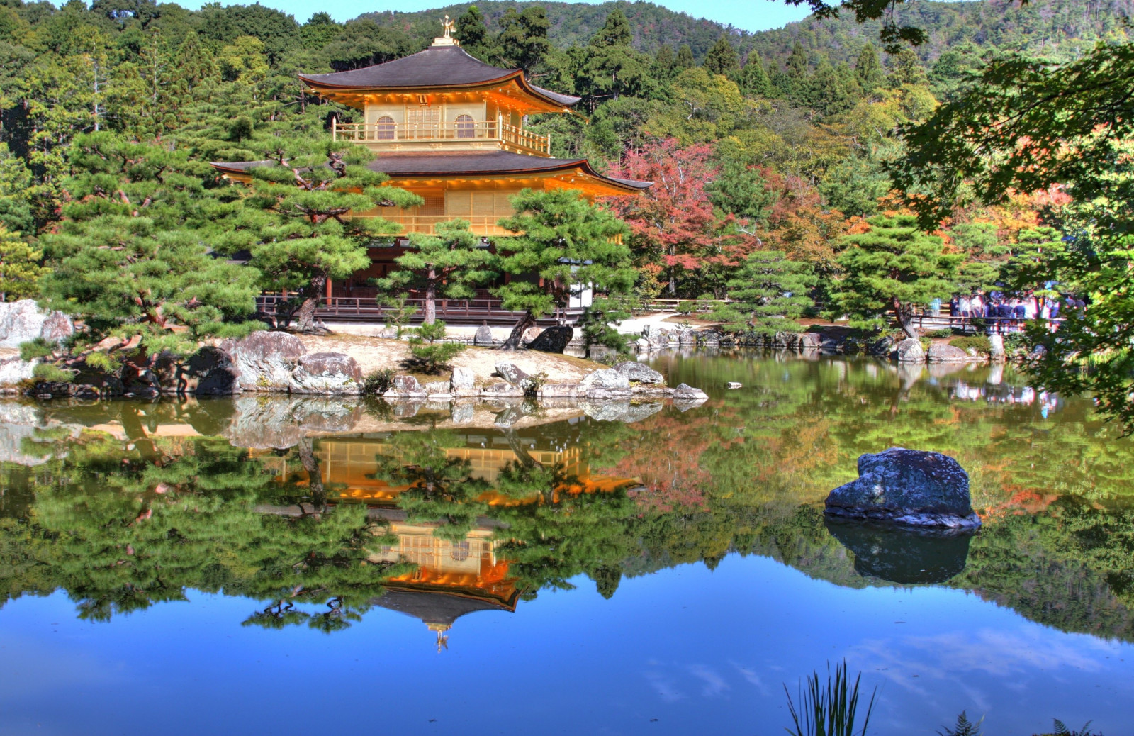 riflessione, acqua, Giappone, tempio, Kyoto, kinkakuji, goldenpavilion