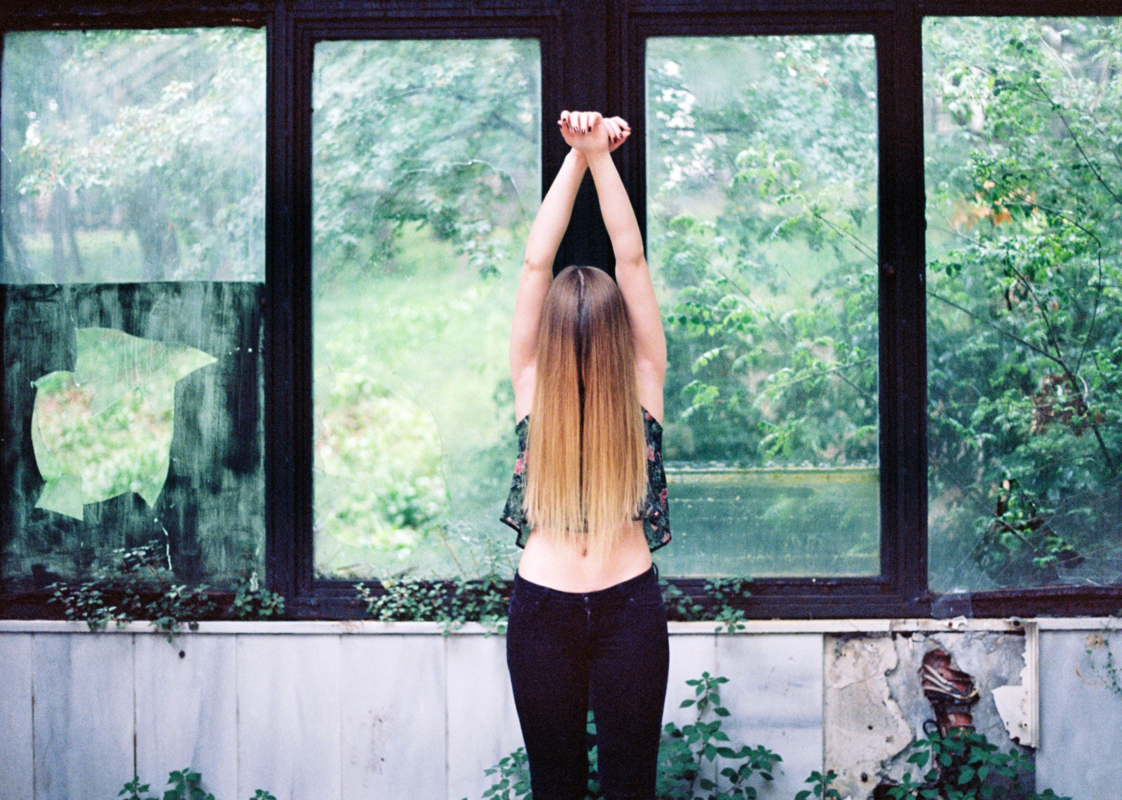 fotografie, zelená, strom, žena, dívka, krása, rostlina, fotografování, sedící, okno, zábava, slunečnímu záření, dlouhé vlasy, tráva, květ