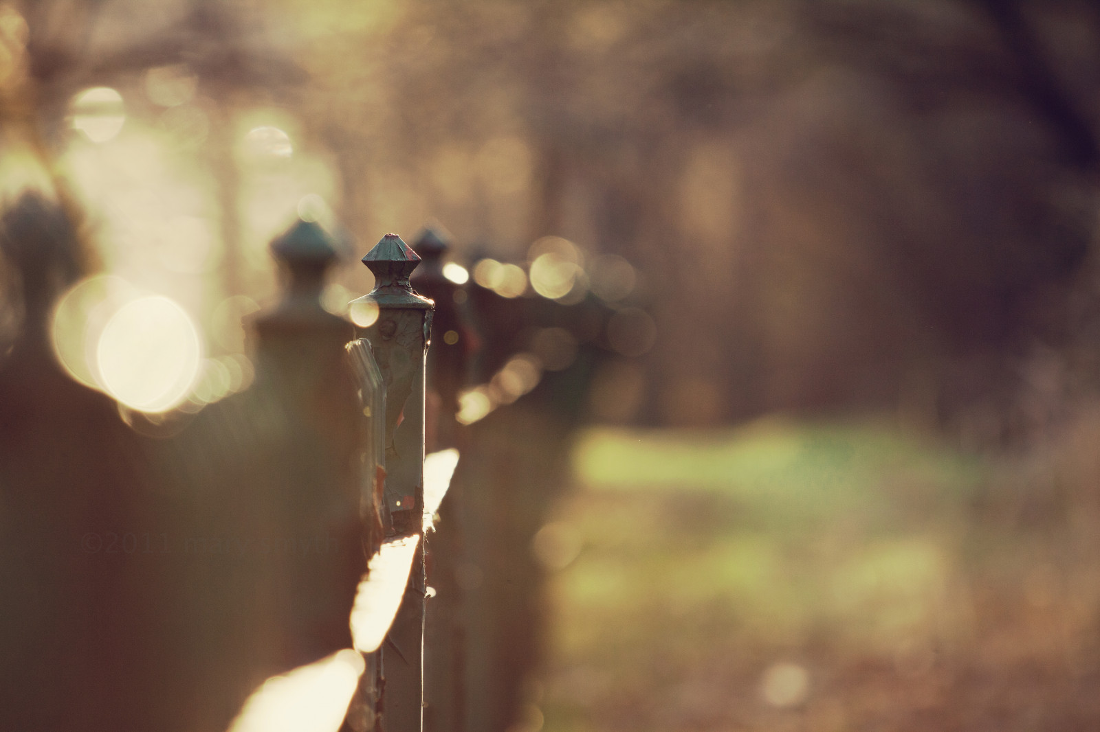 เช้า, โลหะ, รั้ว, ฤดูใบไม้ผลิ, เหล็ก, bokeh, สนิม, ralphwaldoemerson, hff, 2011, liveinthesunshineswimtheseadrinkthewildair, fencefriday