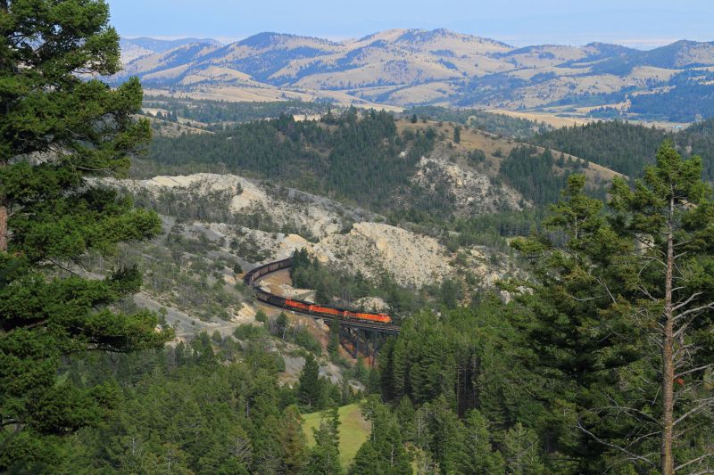 natura selvaggia, montagna, morfologie montane, albero, pianta legnosa, cresta