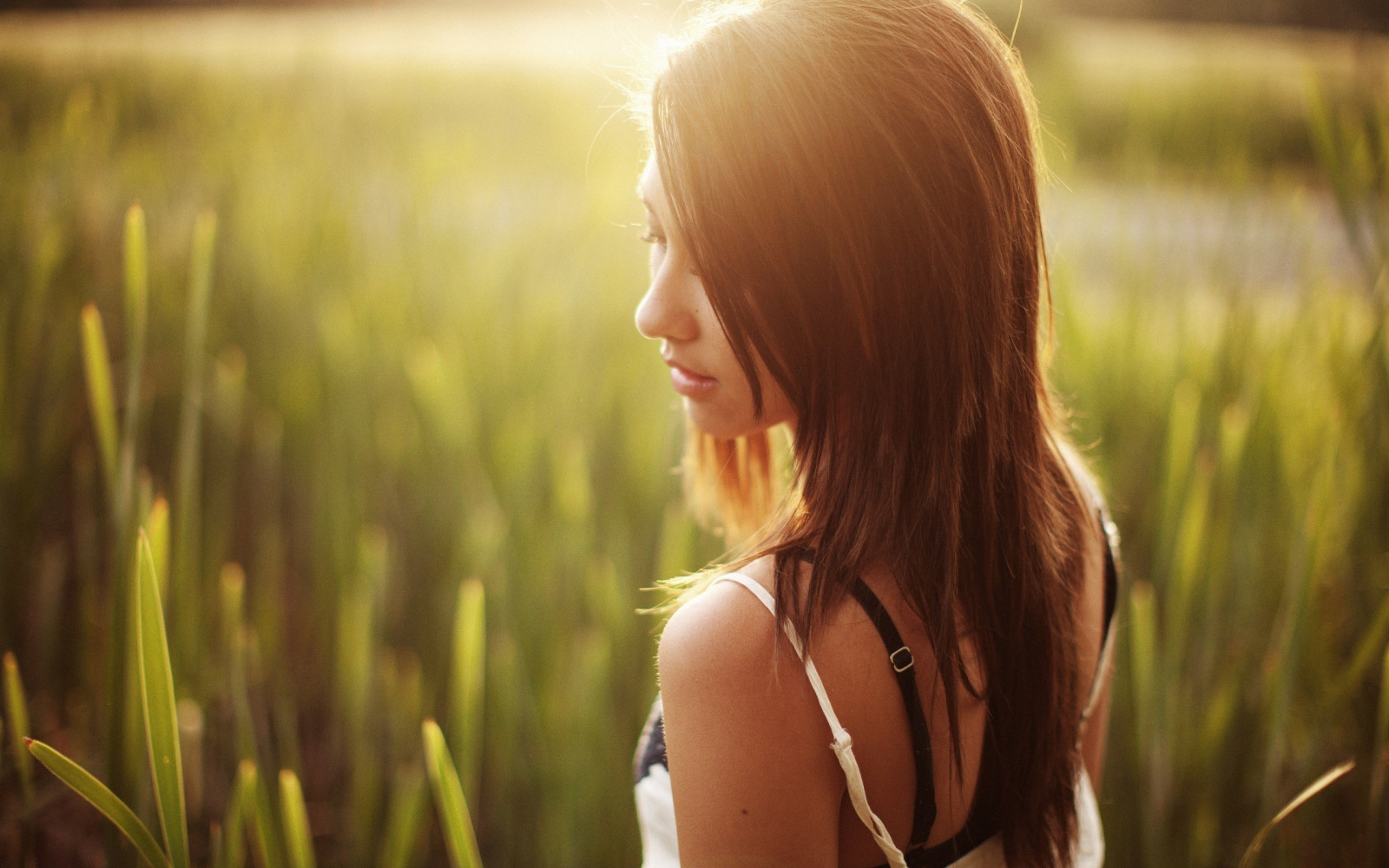 sunlight, model, nature, brunette, grass, field, photography, green, morning, spring, Person, skin, autumn, flower, plant, girl, beauty, eye, woman, meadow, 2560x1600 px, brown hair, close up, grass family