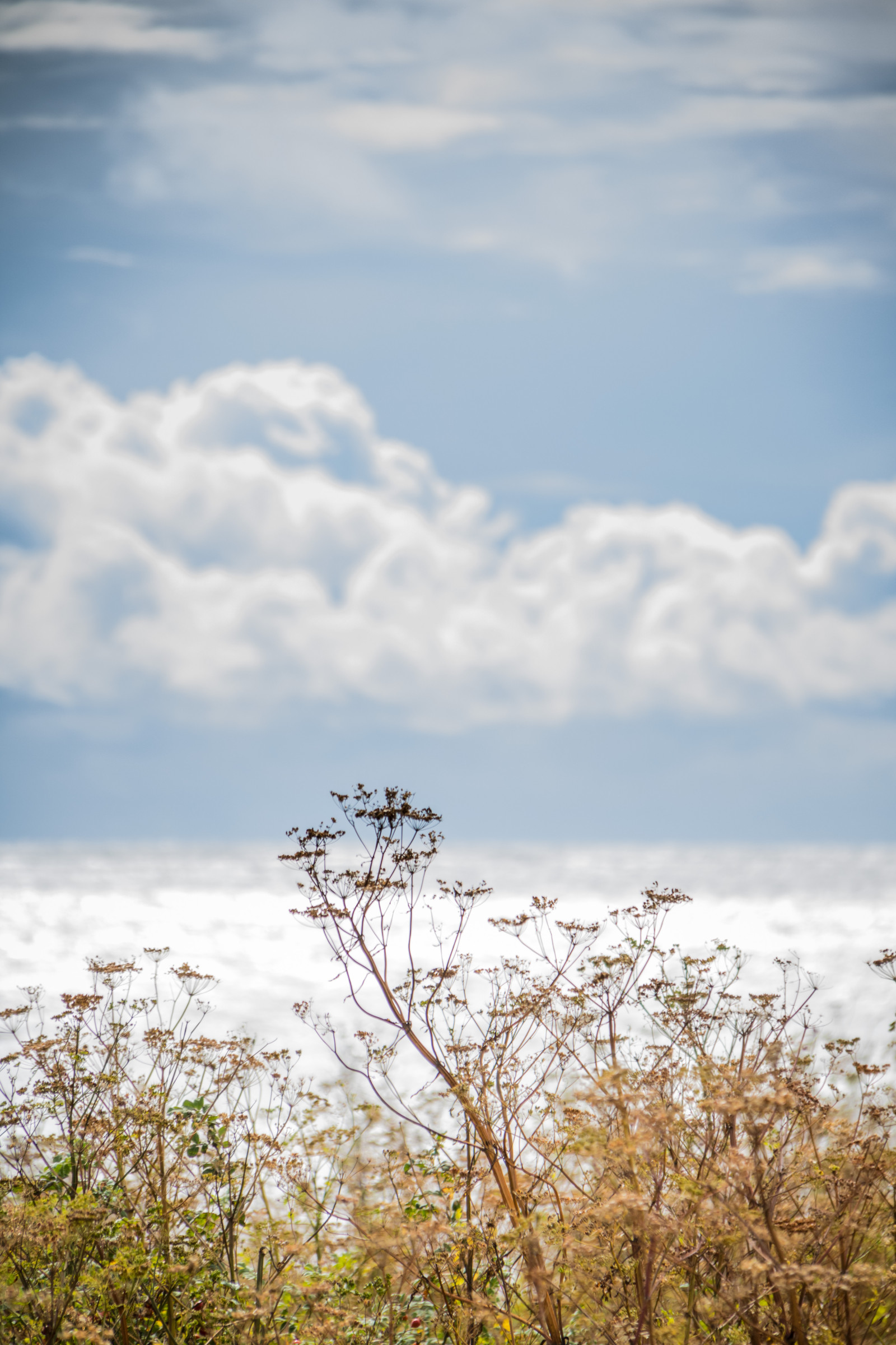 slunečnímu záření, krajina, moře, kopec, voda, Příroda, odraz, tráva, nebe, pole, ráno, vítr, horizont, mrak, strom, hora, květ, rostlina, nebe, vatten, hav, moln, stersj n, smygehuk, s dersl tt, exif modelu canoneos760d, geocountry, Kamera aby kánon, geocity, Model fotoaparátu canoneos760d, geostate, geolocation, EXIF čočka efs18200mmf3556is, exif aby kánon, EXIF isospeed 100, EXIF otvor 63, exif focallength 190mm, louka, prérie, venkov, místo výskytu, přírodní prostředí, atmosférický jev, dřevina, tráva rodina, meteorologický jev