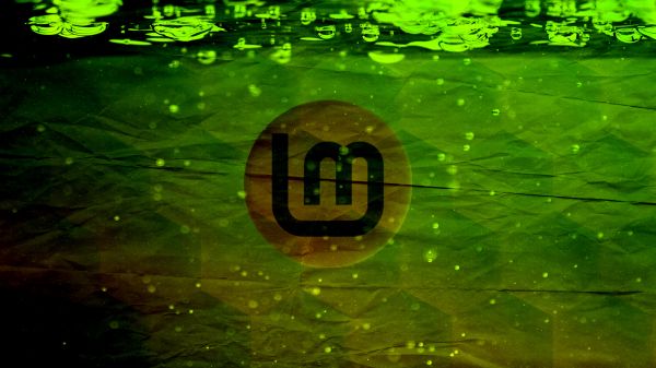 water,liquid,font,terrestrial plant,sunlight,grass