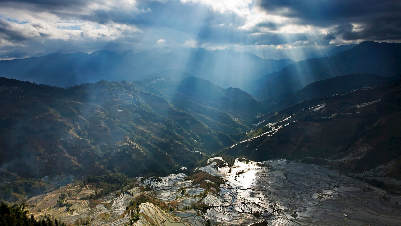 Příroda, krajina, mraky, slunce, sluneční paprsky, stromy, pole, mlha, rýže neloupané, rýže, Čína