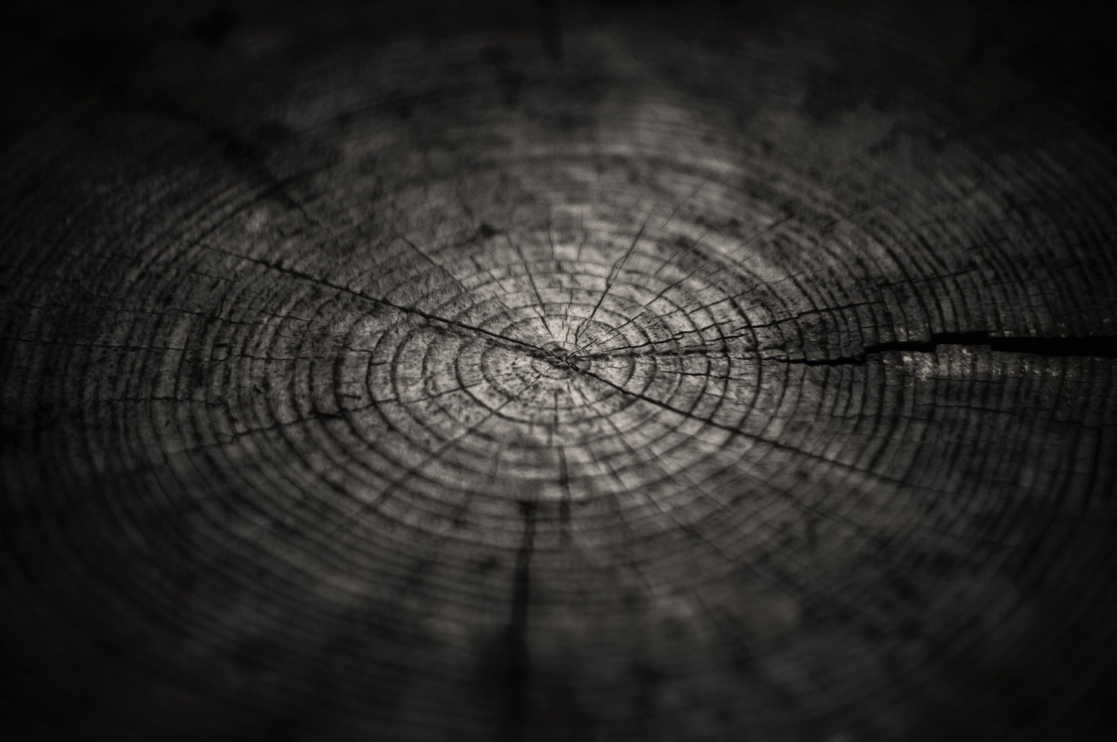 Černá, černobílý, odraz, fotografování, dřevo, symetrie, vzor, textura, kruh, tunel, infrastruktura, světlo, tvar, čára, tma, tapeta na zeď, fotky, Černý a bílý, monochromatické fotografování, zblízka, kufr, makro fotografie, Eden Project, canonfl58f12, mxpp, dramaticbright