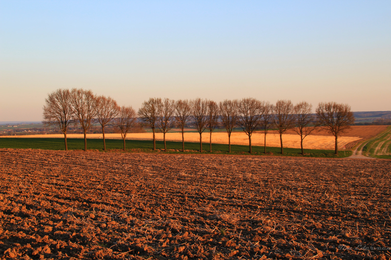slunečnímu záření, stromy, krajina, západ slunce, kopec, Příroda, tráva, nebe, pole, svítání, zelená, modrý, večer, ráno, hospodařit, horizont, soumrak, 2015, jaro, Limburg, strom, podzim, list, rostlina, sezóna, čára, zemědělství, prostý, ngc, Landschap, vydržet, tim, natuur, prérie, oříznutí, půda, breathtakinglandscapes, venkov, přírodní prostředí, tráva rodina, braun, prosím, zuid, Ederveen, limburgslandschap, Simpelveld