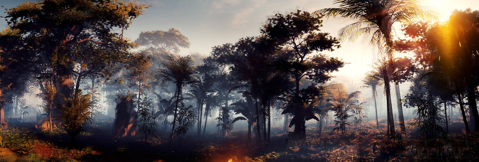slunečnímu záření, krajina, les, Příroda, nebe, zima, větev, večer, ráno, horizont, atmosféra, Nula, strom, podzim, svítání, zálesí, počítač tapeta, jev, PS4