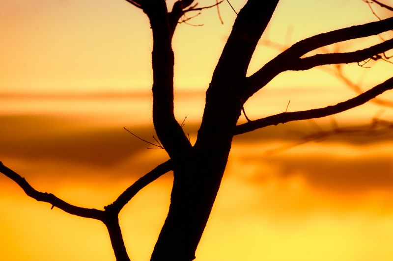 sinar matahari, matahari terbenam, langit, bayangan hitam, Jepang, bayangan
