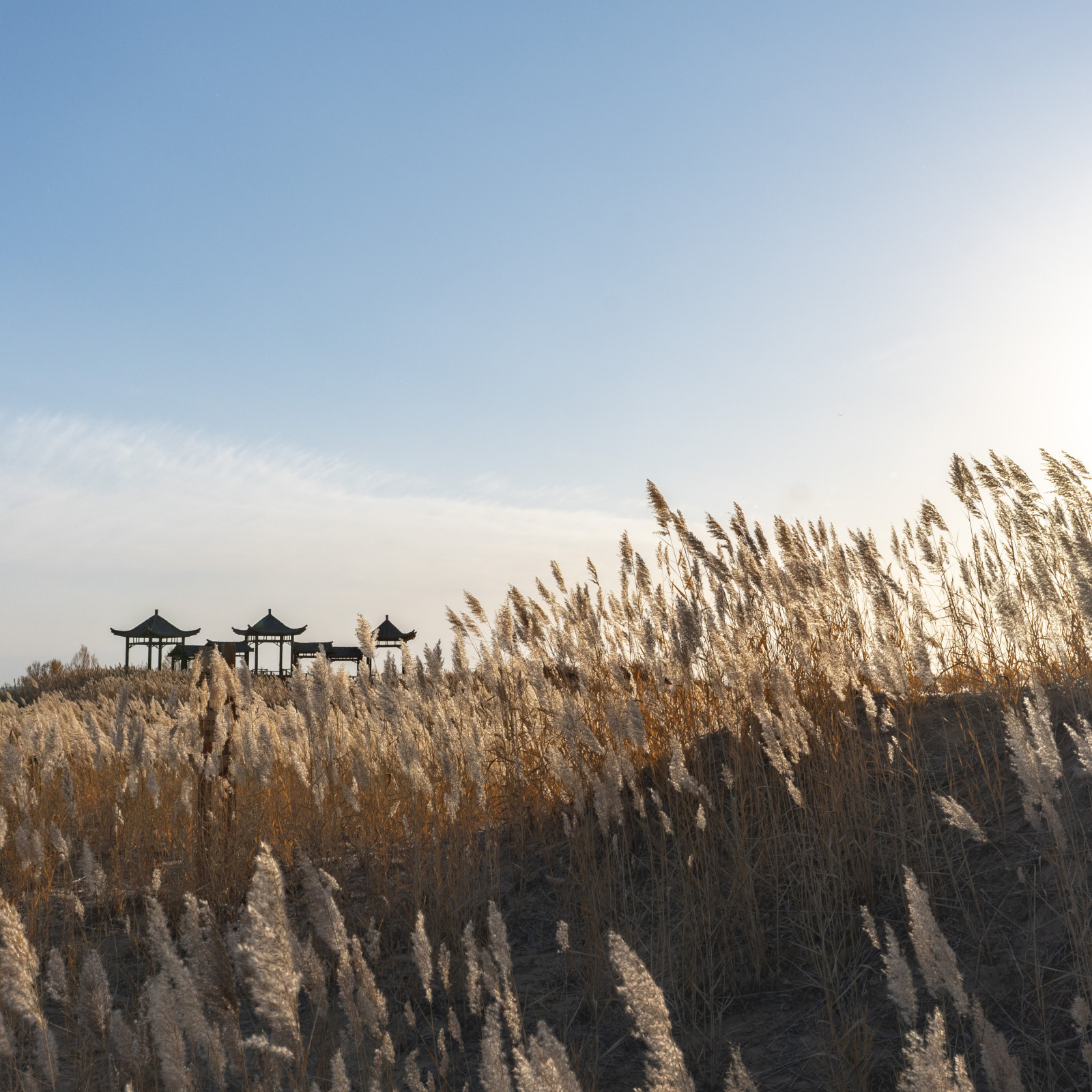 2020photographys, Čína