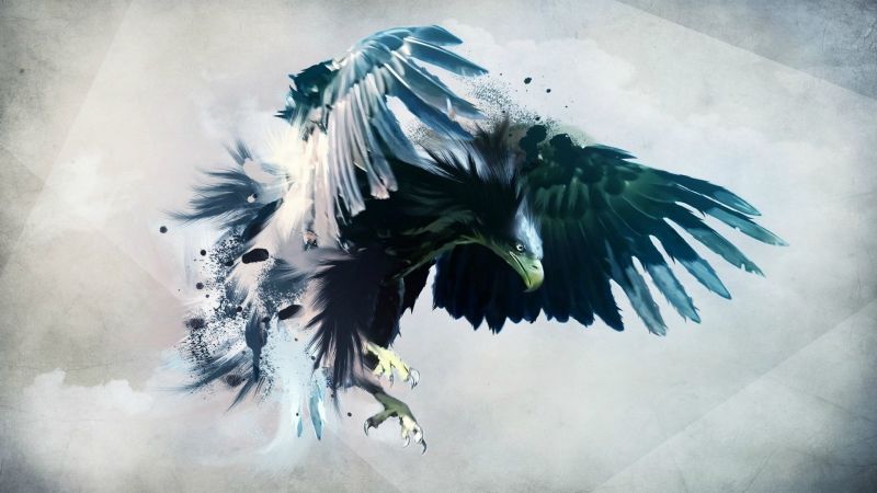 blu, volante, aquila, uccello, ala, illustrazione blu, volante, aquila, uccello, ala, illustrazione