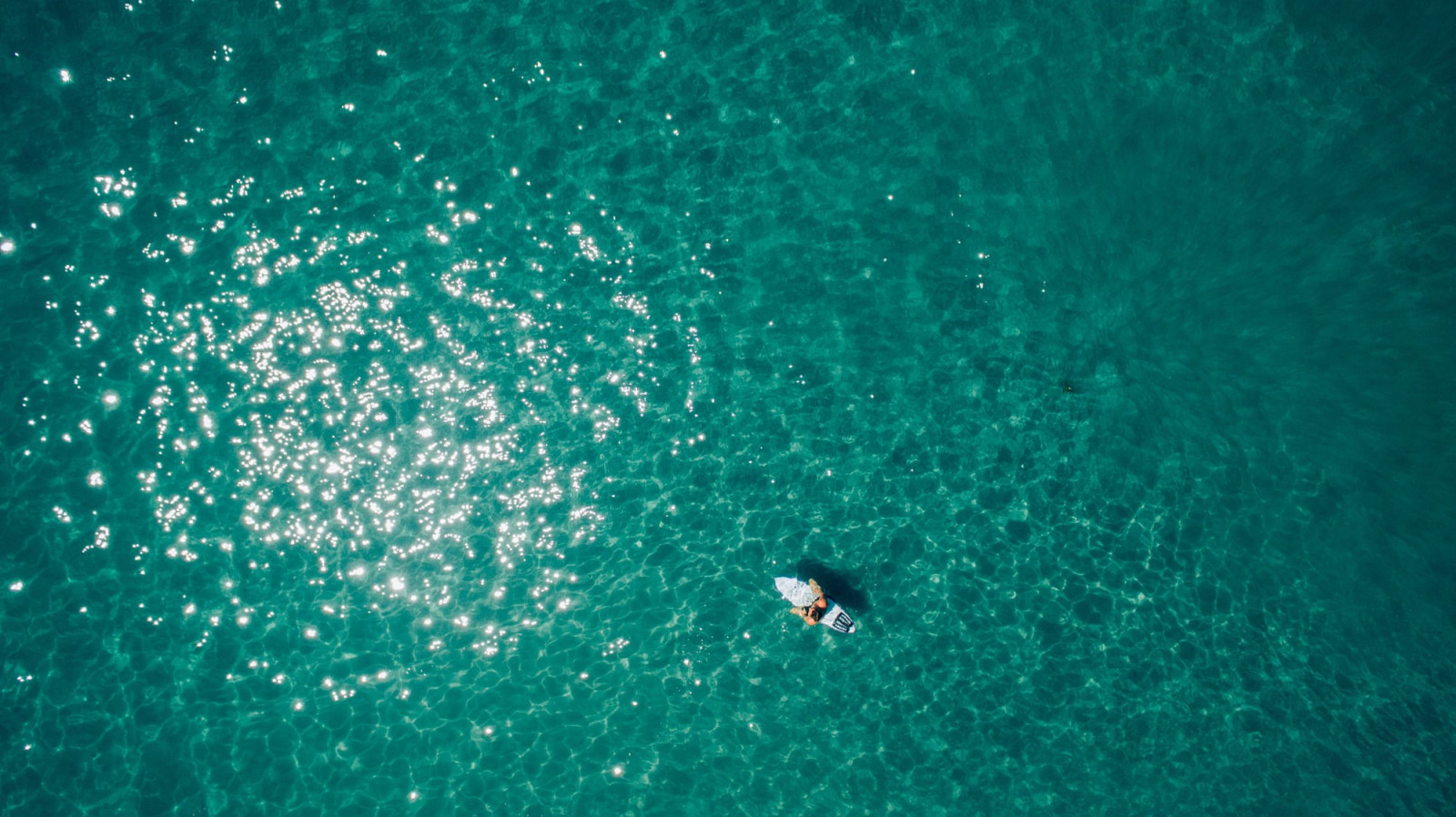 sollys, hav, vand, natur, grøn, blå, undervands-, surfing, biologi, dråbe, bølge, rev, computer tapet, makrofotografering, havbiologi