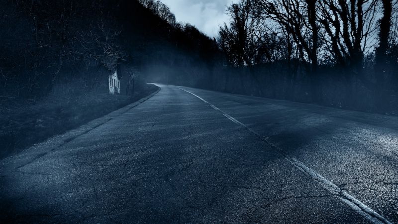 sunlight, monochrome, night, snow, winter, road sunlight, monochrome, night, snow, winter, road