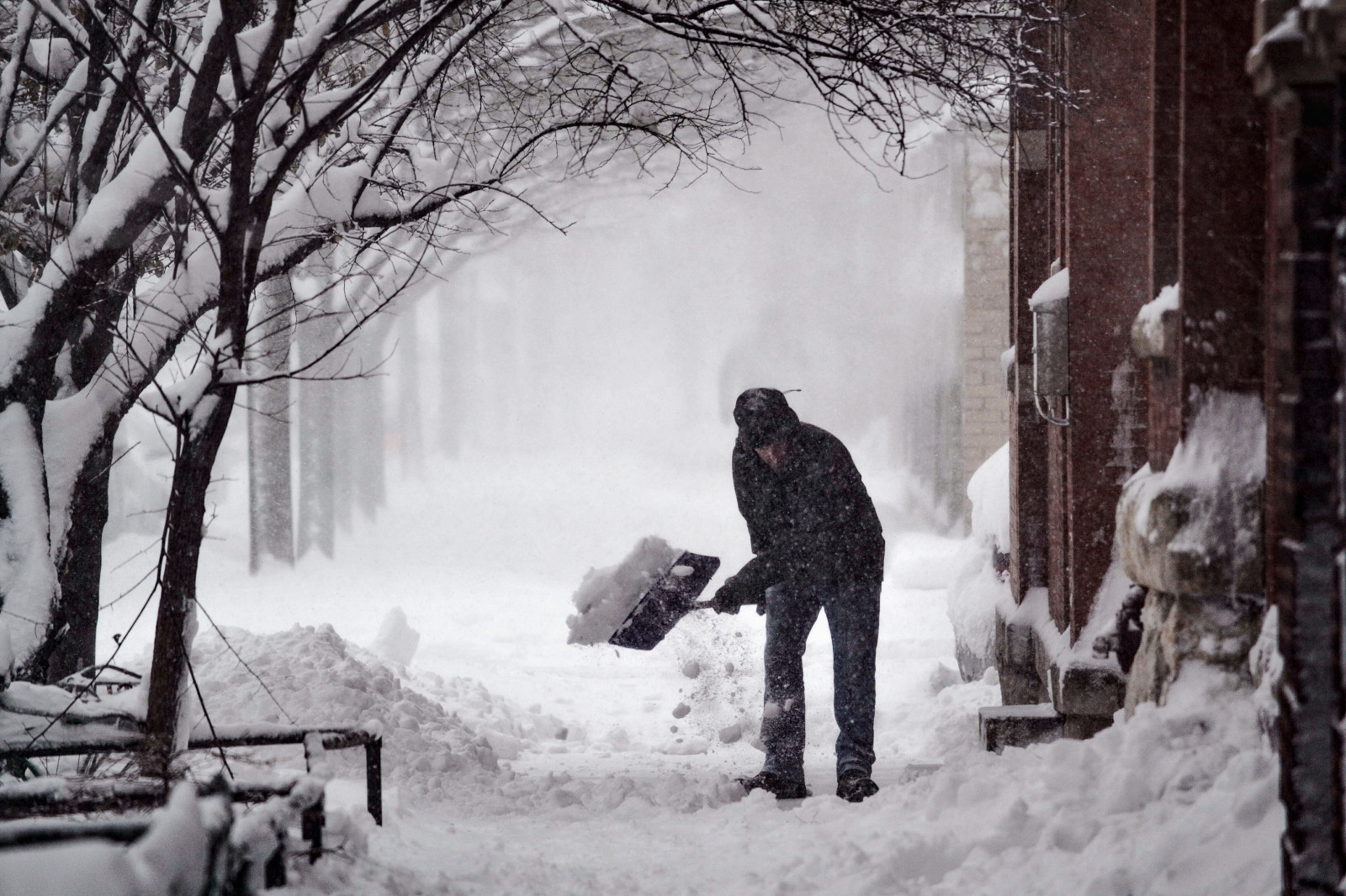 sníh, zima, zmrazení, zimní bouře, strom, vánice, mráz, déšť a sníh mísí, led