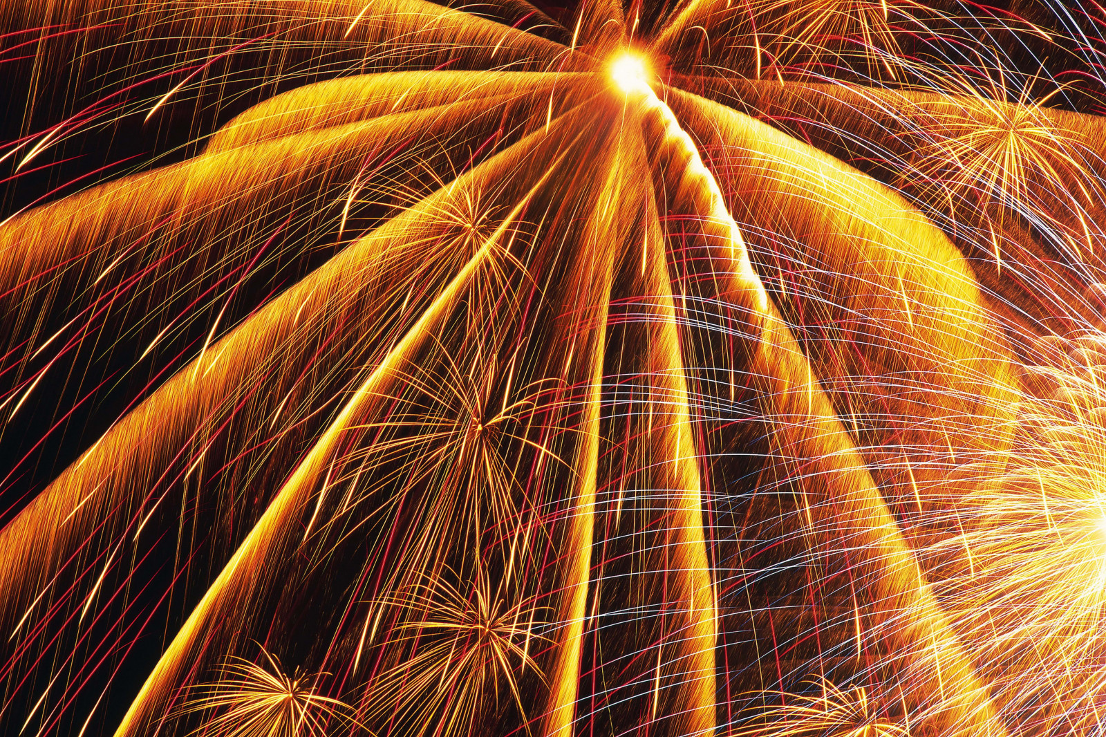 slunečnímu záření, světla, noc, ohňostroj, čáry, událost, strom, rekreace, rekreaci ve volné přírodě, arecales