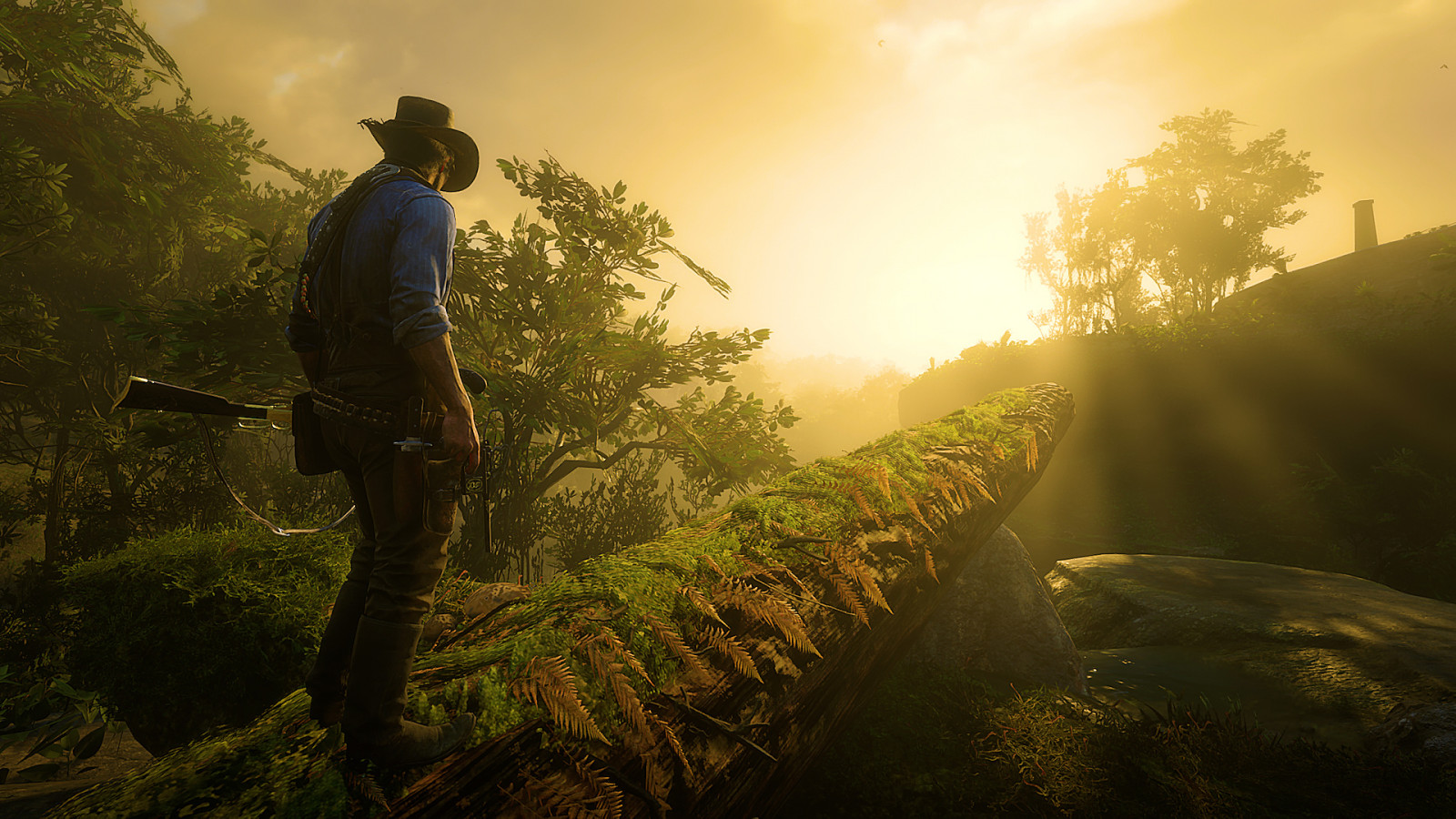 เมฆ, ปลูก, ท้องฟ้า, อีโครีเจียน, People in nature, Natural landscape, แสงแดด, ไฮแลนด์, หญ้า, ต้นไม้, หมวก, หมวกกันแดด, แนวนอน, ทุ่งหญ้า, เขตชนบท, พระอาทิตย์ขึ้น, ป่า, ครอบครัวหญ้า, หมอกควัน, ทุ่งหญ้า, หมอก, เนินเขา, แบ็คไลท์, หมอก, ฟิลด์, สถานีเนินเขา, ป่า, ตอนเย็น, ป่าไม้, วัตถุดาราศาสตร์, ความมืด, stock photography, เงา, ความร้อน, ขอบฟ้า, พระอาทิตย์ตก, รุ่งอรุณ, สัตว์ป่า, การผจญภัย, ป่าเจริญเติบโตเก่า, หมวกคาวบอย, เส้นทาง, ทุ่งเลี้ยงสัตว์, การพักผ่อนหย่อนใจ, ดวงอาทิตย์, หุบเขา, ถนน, เส้นทาง, เทือกเขา, ภาพเงา, ป่าฝน, หิน