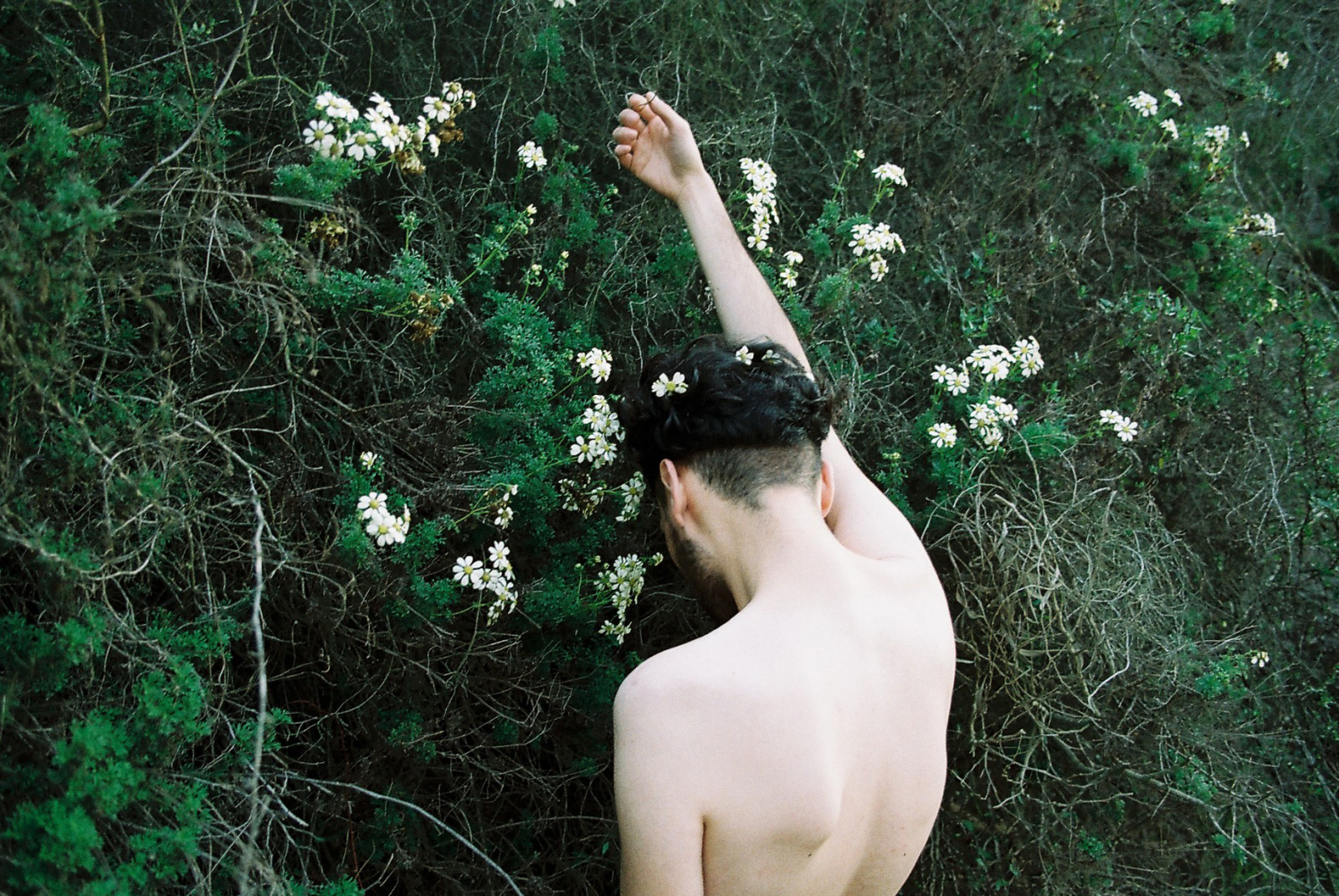 krajina, les, Příroda, tráva, zelená, zadní, džungle, svoboda, květinový, akt, strom, list, květ, rostlina, dívka, zábava, analogový, analog, životní styl, tělo, filmphotography, ishootfilm, keř, luisrojascontreras, Boyonfilm