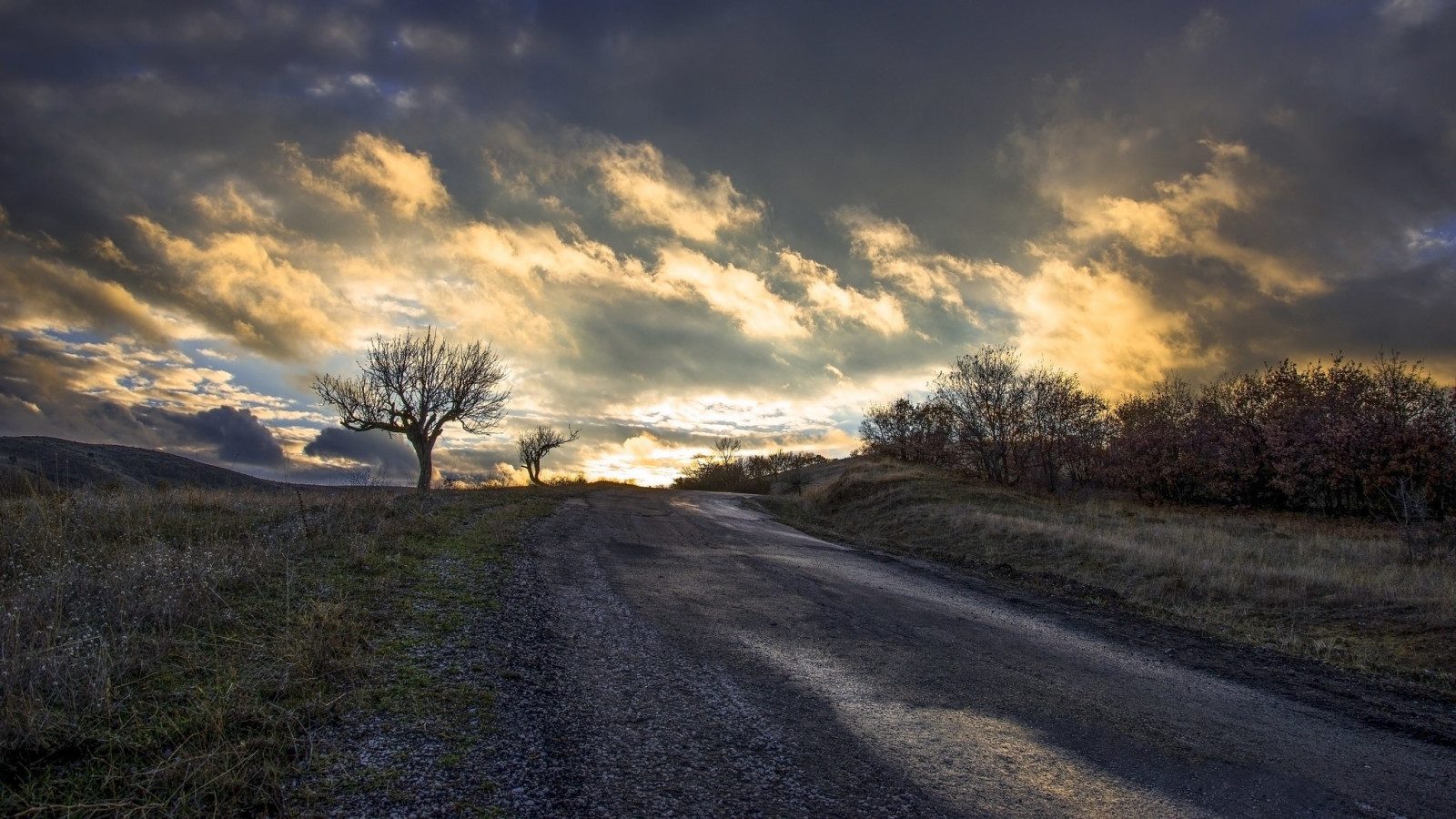 Sonnenlicht, Bäume, Landschaft, Sonnenuntergang, Hügel, Natur, Gras, Himmel, Feld, Straße, Wolken, Sonnenaufgang, Abend, Morgen, Horizont, Dämmerung, Infrastruktur, Wolke, Baum, Herbst, Berg, Wetter, Dämmerung, Jahreszeit, Prärie, ländliches Gebiet, Atmosphärisches Phänomen, Holzige Pflanze, Meteorologisches Phänomen