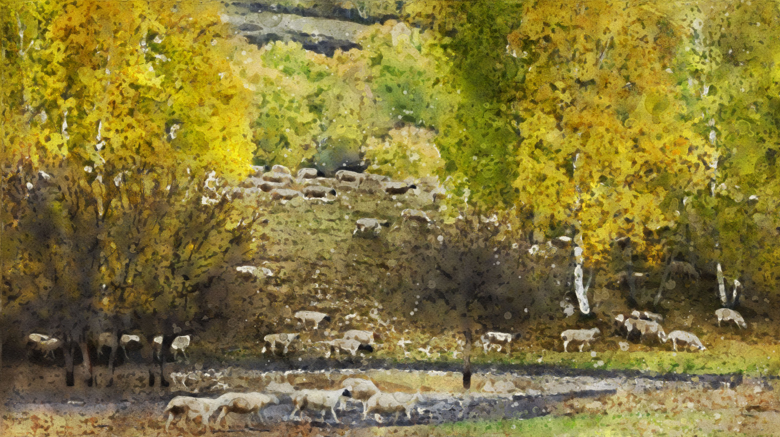 lightslord, fotografi