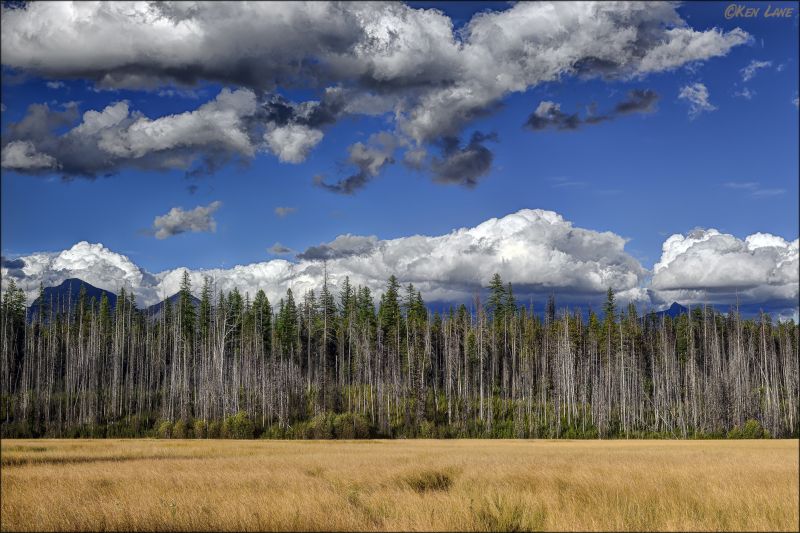 nebe, lučina, Příroda, mrak, ekosystém, divočina