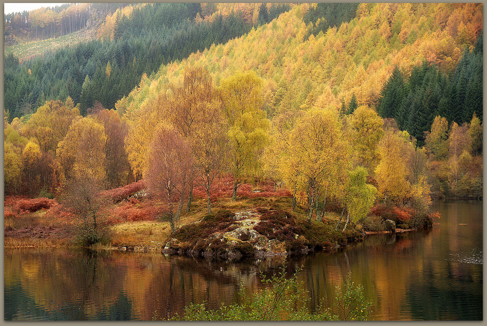 træer, landskab, Skov, sø, natur, afspejling, Skotland, morgen, flod, ødemark, Dam, gå, træ, efterår, blad, blomst, sæson, skov, dundee, Pitlochry, lochtummel, ericrobbniven, søer, pentaxk50, levested, atmosfærisk fænomen, vedplante