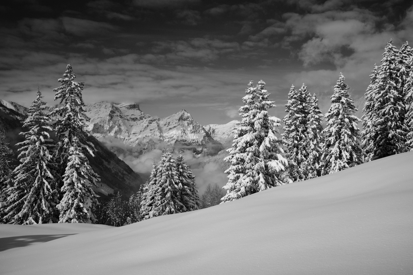 Hintergrundbilder : Weiß, Berge, einfarbig, Natur, Schnee, Schweiz