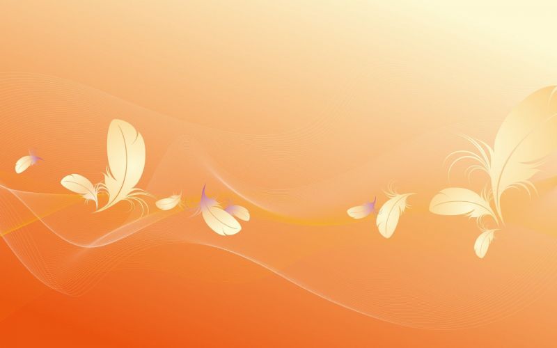 1920x1200 px,Mehrfarbig,Entwurf