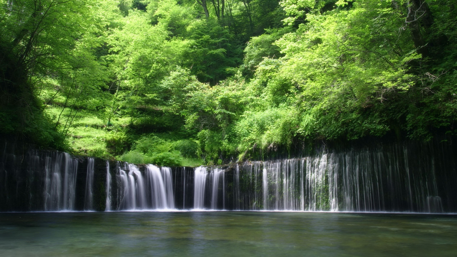 alberi, paesaggio, foresta, cascata, lago, acqua, natura, riflessione, fiume, stagno, giungla, ruscello, Banca, foresta pluviale, riserva naturale, albero, foglia, alveo, vegetazione, torrente, scivolo, bayou, bosco, cadute, Wasserfall, sfondo del computer, ecosistema, bioma, corpo d'acqua, vecchia foresta di crescita, foresta temperata, giochi d'acqua, verdura, bosco ripariale, Parco statale, risorse idriche, tropical and subtropical coniferous forests, valdivian temperate rain forest