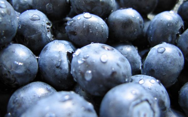 food,fruit,Grape,plant,berry,drops