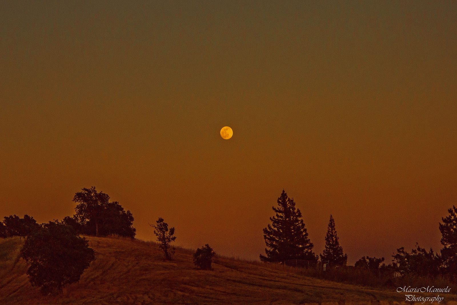 California, viaggio, alberi, tramonto, scogliera, Luna, Turismo, natura, campo, d'oro, paesaggi, vista, stati Uniti, collina, panoramico, tranquillità, avventura, Yosemite, Serenità, Vista, pendio, mozzafiato, ora d'oro, mariamanuelaphotography