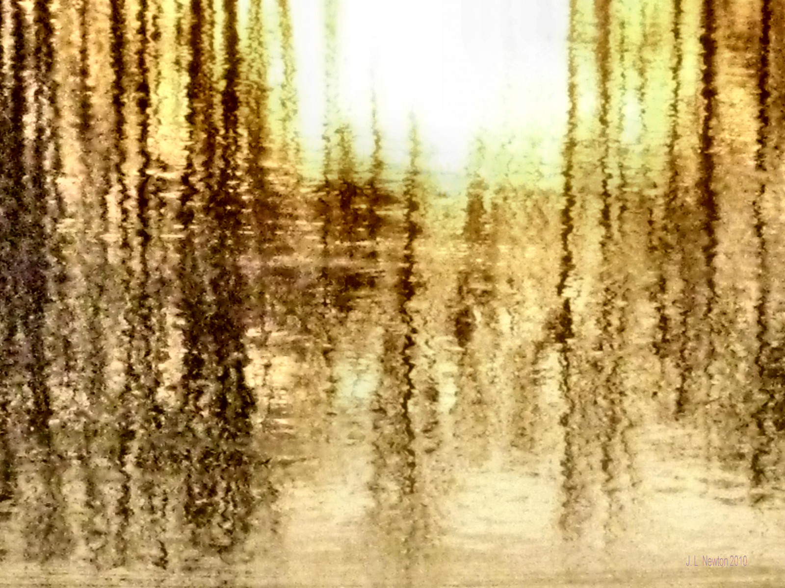 slunečnímu záření, stromy, les, odraz, větev, textura, zlato, bažina, bříza, 2010, mokřadní, strom, zlatý, podzim, rostlina, sezóna, mygearandmepremium, mygearandmebronze, mygearandmesilver, mygearandmegold, thegalaxy, mygearandmeplatinum, mygearandmediamond, světlo hvězd, indiana, zálesí, místo výskytu, přírodní prostředí, suchozemská rostlina, dřevina, ekosystém, kufr, závod stonek