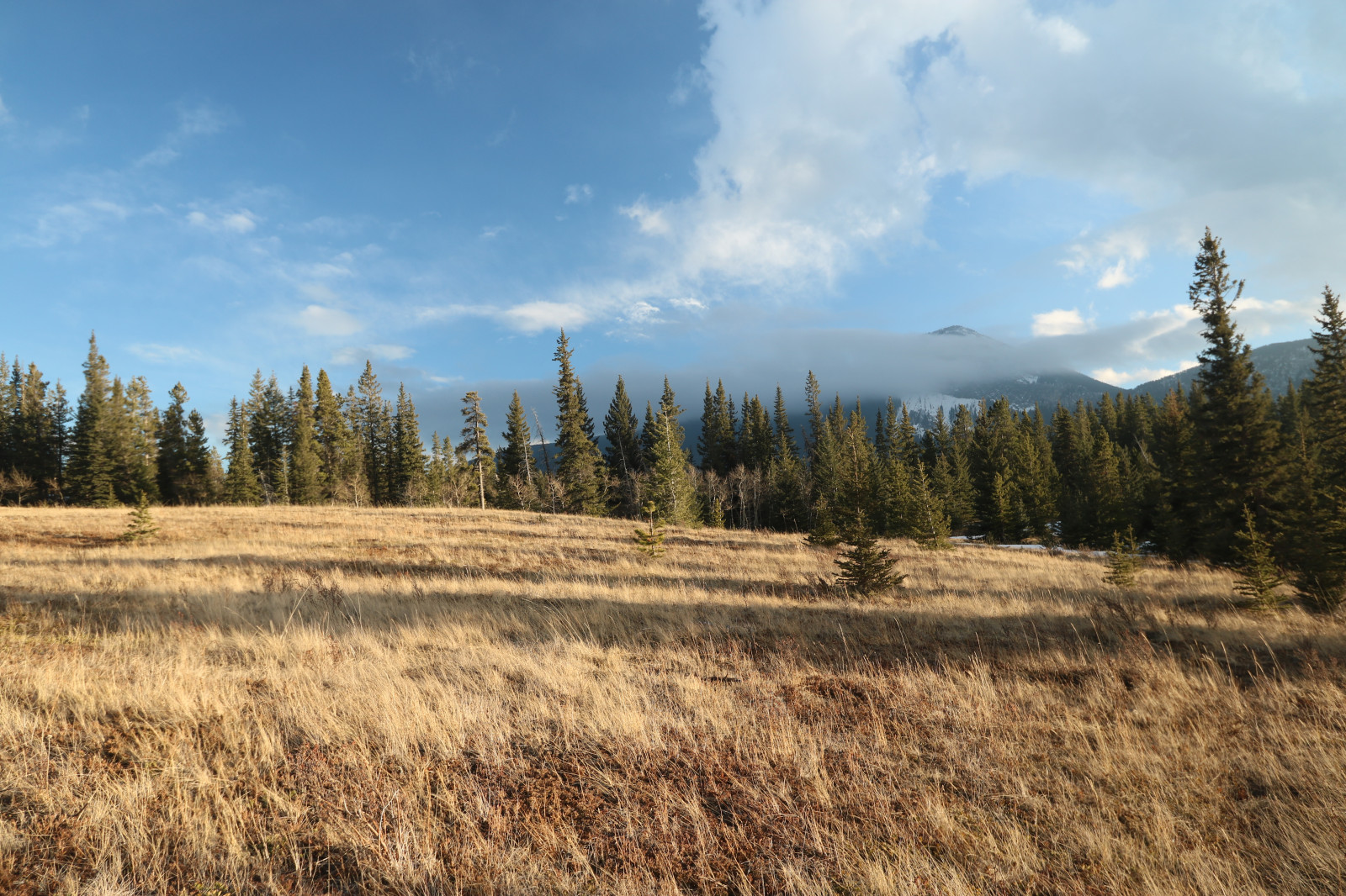 Wallpaper bow, valley, Alberta, Canada, middle, lake, yates, mountain