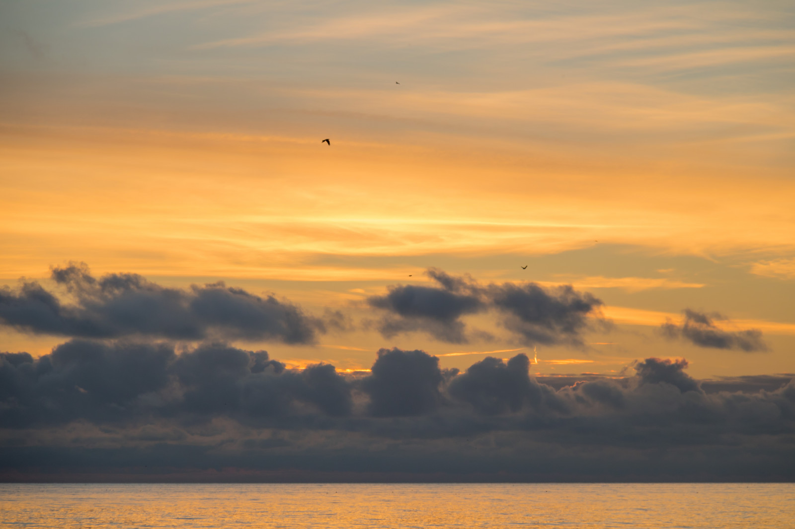 แสงแดด, พระอาทิตย์ตก, ทะเล, ท้องฟ้า, พระอาทิตย์ขึ้น, ตอนเย็น, เช้า, ชายฝั่ง, ดวงอาทิตย์, ขอบฟ้า, พลบค่ำ, เมฆ, รุ่งอรุณ, มหาสมุทร, himmel, solnedg ng, hav, ลินคอล์น, Trelleborg, kust, exif model canoneos760d, ประเทศธรณีวิทยา, กล้องทำให้ Canon, geocity, กล้องรุ่น canoneos760d, geostate, ตำแหน่งทางภูมิศาสตร์, เลนส์ Exifs efs18200mmf3556is, exif ทำให้ canon, exif isospeed 100, ความยาวคลื่น exif 110 มม, รูรับแสง exif 63, ทุ่งหญ้า, ปรากฏการณ์บรรยากาศ, สายัณห์, ท้องฟ้าสีแดงตอนเช้า