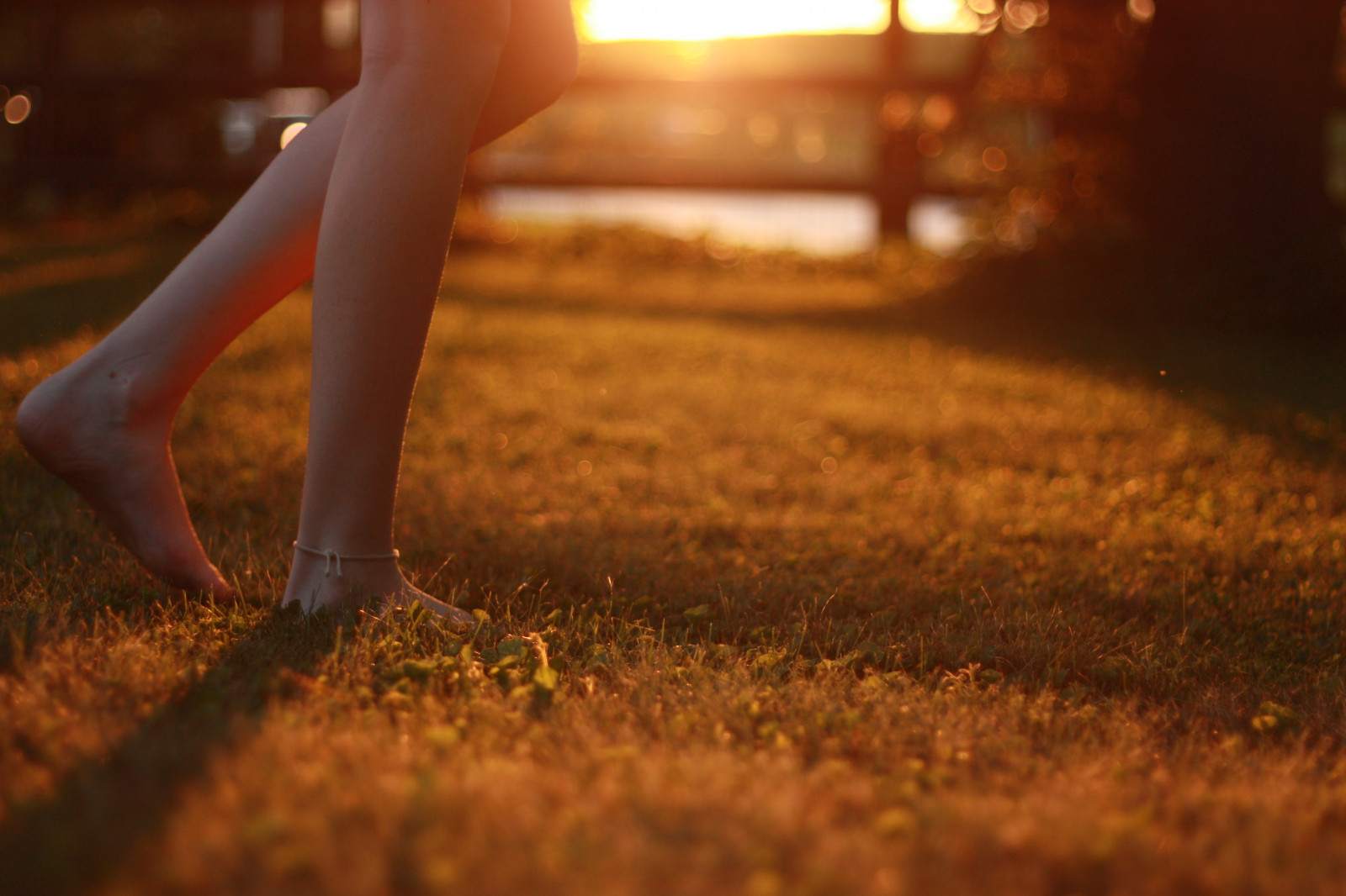 slunečnímu záření, západ slunce, tráva, fotografování, žlutý, večer, ráno, slunce, Kánon, emoce, Los Angeles, světlo, barva, podzim, list, dívka, krása, sezóna, fotografie, ruka, noha, fotografie, tma, ptáček, anne, Lindsay, dransfield, labirdie, labirdiephoto