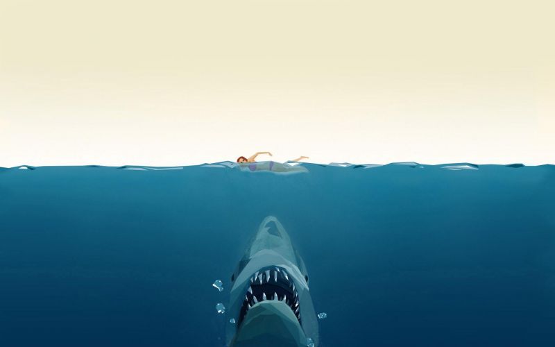 arte digital,Vector gráficos,agua,tiburón