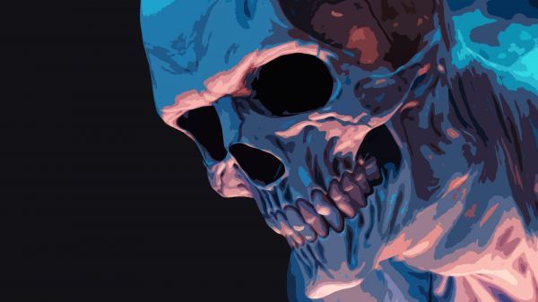 Skull Face,Skull Bones