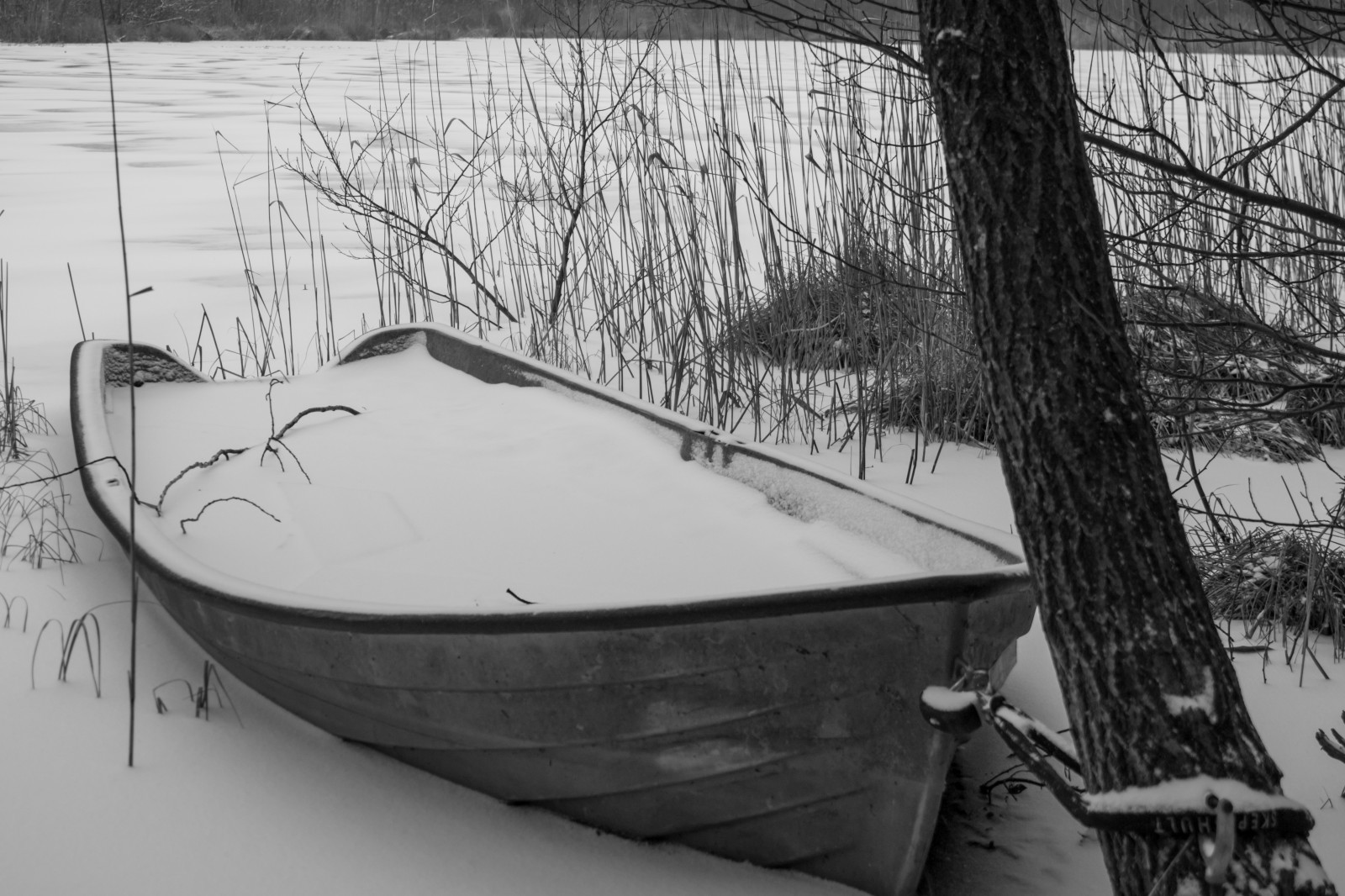 branco, barco, monocromático, neve, inverno, veículo, fotografia, clima, estação, barco a vela, Sn, Bt, R, forma, Embarcação, Frostavallen, barca, Preto e branco, Fotografia monocromática, Remo de embarcações