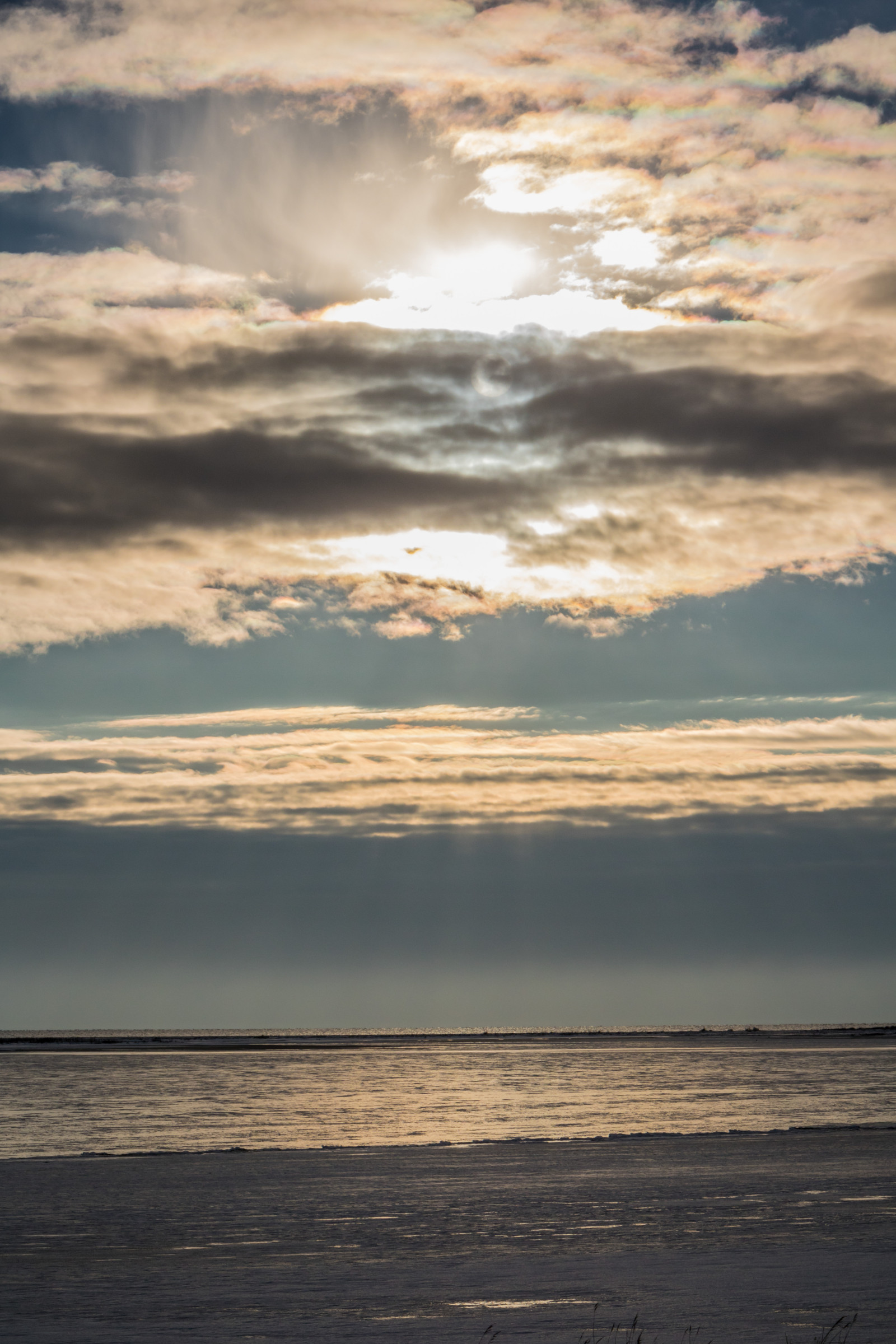 slunečnímu záření, západ slunce, moře, pobřeží, písek, odraz, nebe, sníh, zima, pláž, svítání, večer, ráno, pobřeží, slunce, horizont, atmosféra, soumrak, mrak, svítání, oceán, vlna, sn, Vinter, hav, přírodní rezervace, Naturreservat, Falsterbo, m kl ppen, tělo z vody, mořská vlna, meteorologický jev