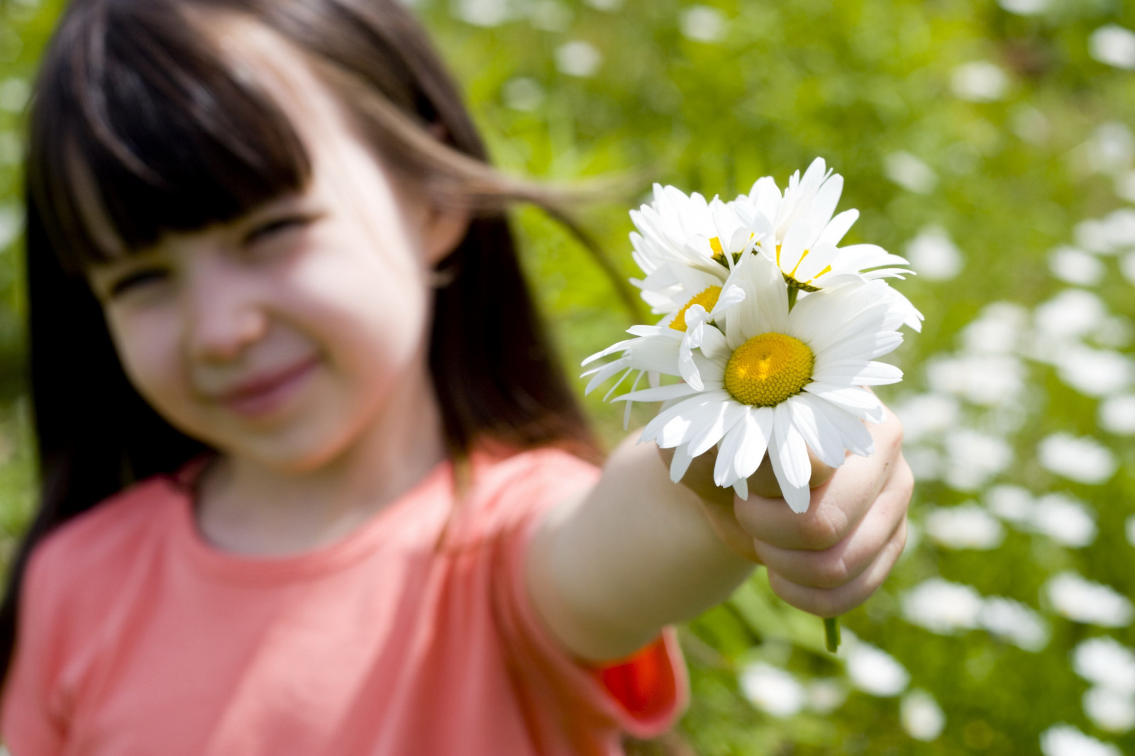 sollys, fotografering, grøn, gul, blomst, emotion, forår, hud, lille pige, barn, blomst, plante, øje, flora, kronblad, eng, 5000x3333 px, tæt på