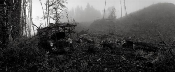 monochrome, landscape, forest, ruin, war, mist