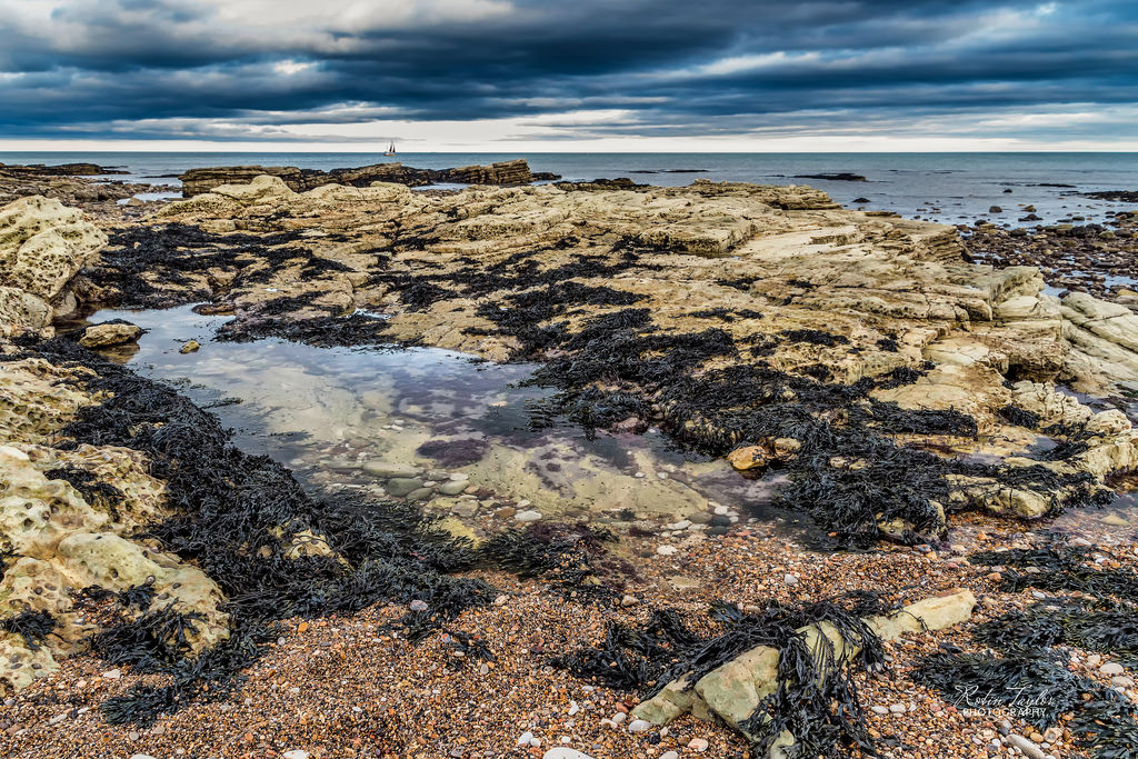 Wallpaper Sea Seascape Seaandsand Water Coast Whitburn Sky Sea Seascape Seaandsand Water Coast Whitburn Sky Clouds Ocean Rockpool Rocks Sand Robintaylorphotography Seawed Contrast Light