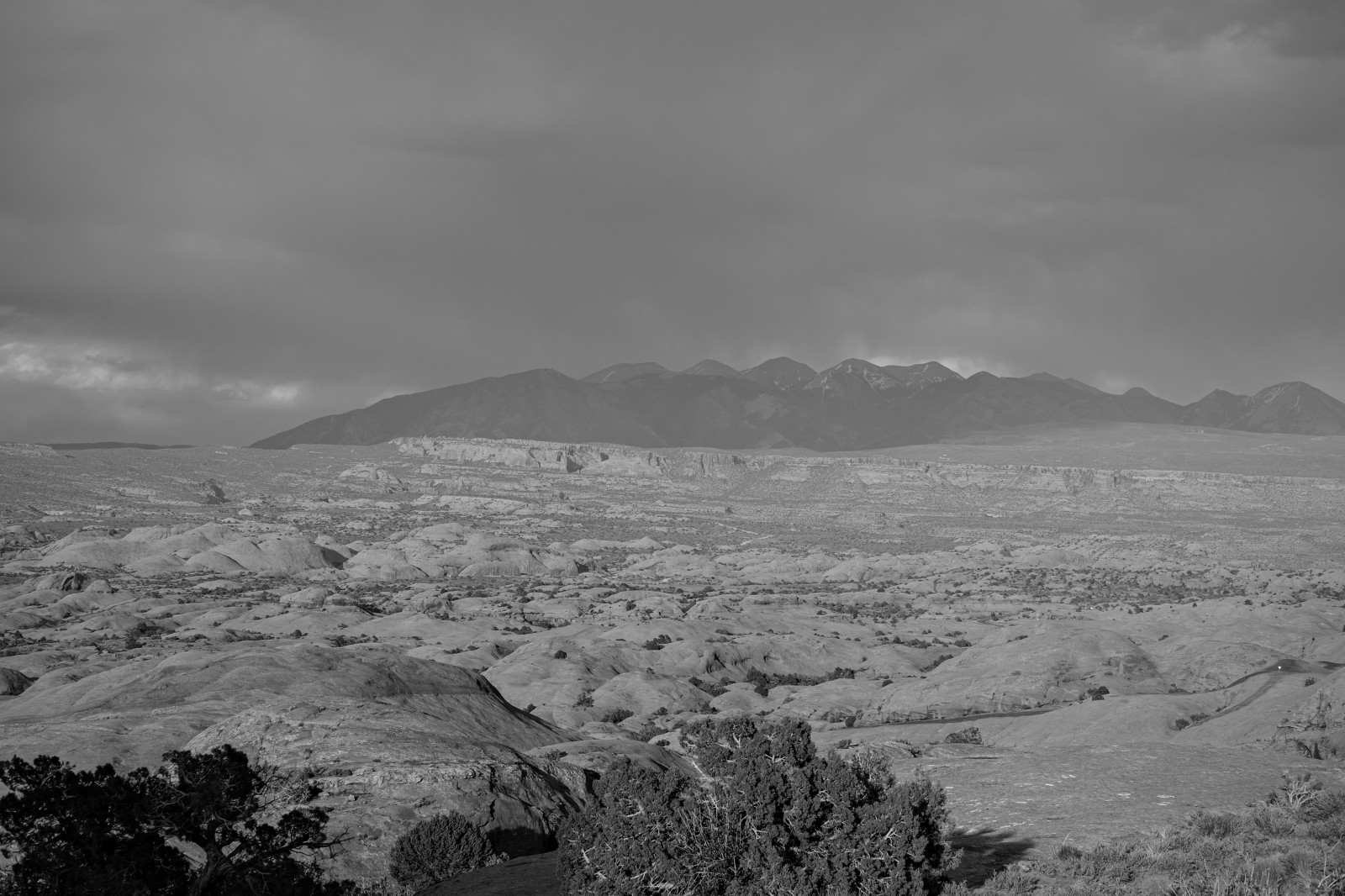 Utah, Národní park Arches, sochařství, kůra stromu, slunečnímu záření
