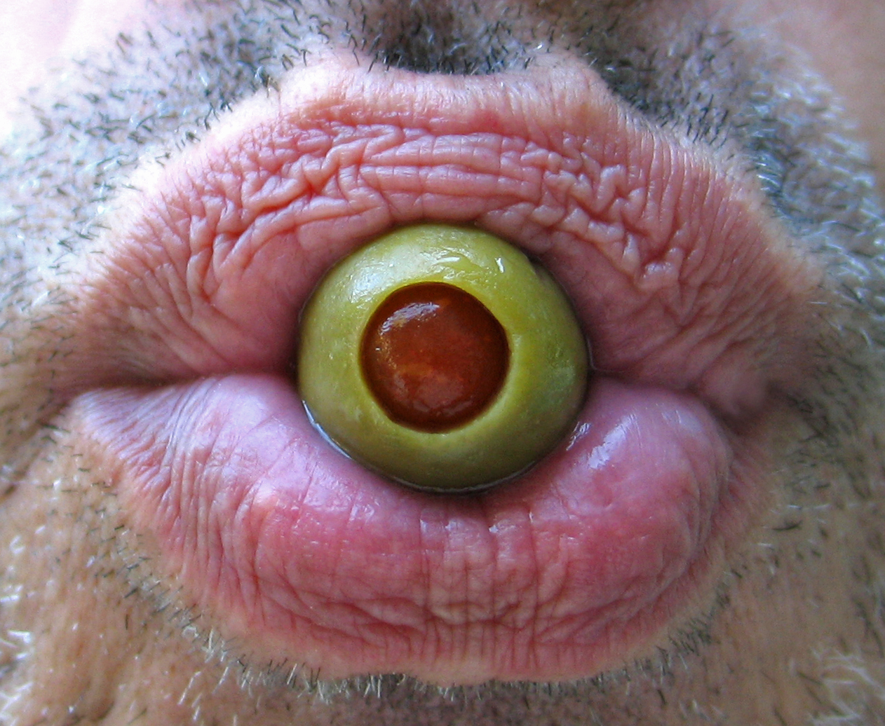 rty, pusa, nos, Duhovka, polyphemus, oko, ret, olivový, 365 dnů, orgán, zblízka, makro fotografie, řasa, čenich, organismus, AMIKO, day167, Polifemo, acloseupprobablybetterlefttoyoungerlips, buttheyretheonlylipsihave, paulfontana