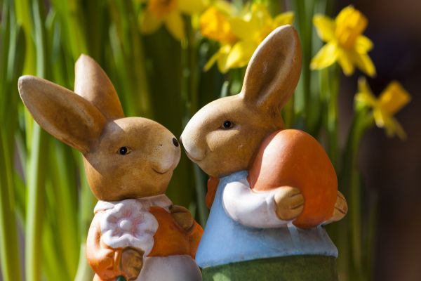 easter bunny,rabbits,flowers