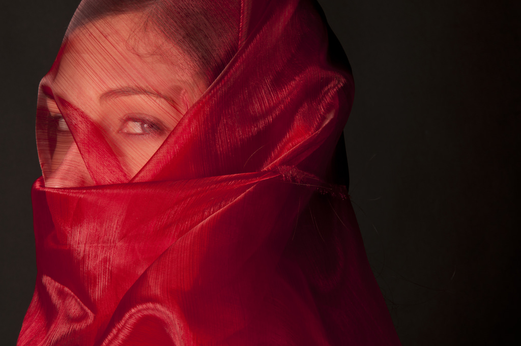 Paul van ginkel картины. Короткая фата. 8 вуалей. Девушка в вуали. 8 вуалей.